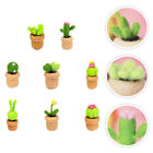 8 Pcs Kaktus- -Spaß Tierhaar Miniaturbausätze Kakteen Basteln