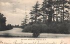 Vintage Postcard 1906 Pine Trees Seneca Park Roadway Rochester New York RNC Pub.
