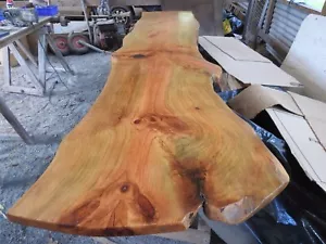 TIMBER SLAB MONTERY PINE 3 METRE LENGTH 650mm X 850mm WIDTH - Picture 1 of 7