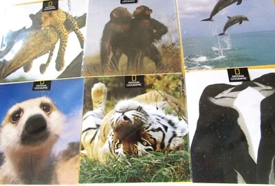 NATIONAL GEOGRAPHIC ASSORTED GREETING CARDS - BLANK INSIDE FOR YOUR OWN MESSAGE - Image 1 of 3