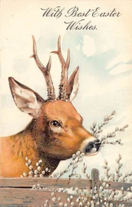 Postcard IA: Easter Wishes, Deer, Embossed, DB Posted 1908 - Picture 1 of 2