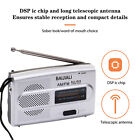 Digital AM/FM Radios eingebauter Lautsprecher Handtasche Dualband Radio (Silber)