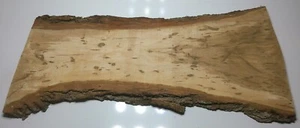 Walnut BIG SLAB CUT 150year Old Tree Live Edge #498 AMAZING RARE COLORATION! - Picture 1 of 24