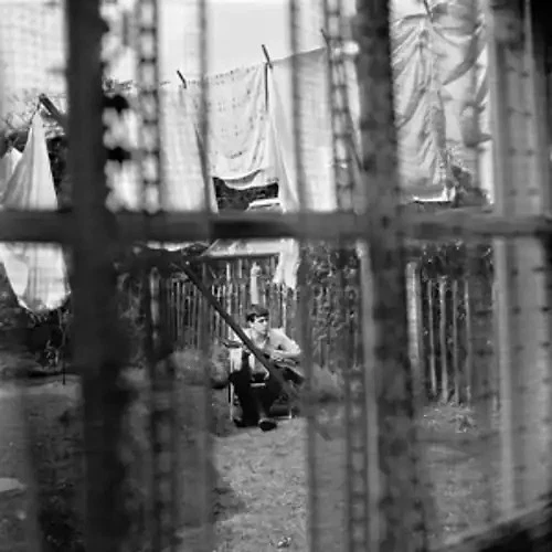 McCartney,Paul - Chaos And Creation In The Backyard (CD) - Bild 1 von 1