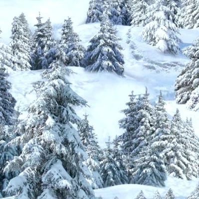 Elizabeth Studio Snowy Pine Tree Forest Fabric by the Yard - Image 1 of 3