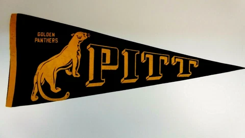 1960 University of Pitt Panthers Vintage Pennant! Cover