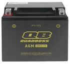 QuadBoss Maintenance-Free AGM Battery-YTX12-BS for 1986-1987 Honda ATC125M ATV