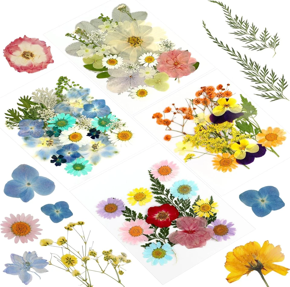 Getrocknete Blumen 84st gepresste natürliche DIY Blüten Harz Schmuck Seifenrahme - Bild 1 von 4