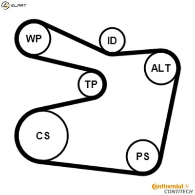 JUEGO CINTURÓN ACANALADO 6PK1555K2 BMW 3/E9/Z/E6/Compacto/7/E8/Convertible/E4 Z3 Foto 1 de 4