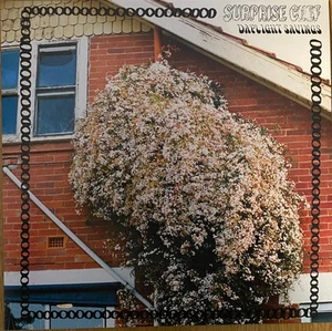 Surprise Chef Daylight Savings - LP 33T - Picture 1 of 3