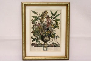 Robert Furber Gardiner 12 Monate Blumen JANUAR 9" x 11" Gold gerahmt - Bild 1 von 12