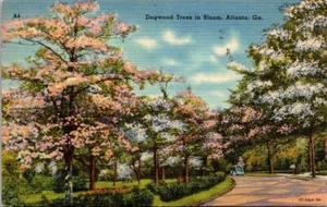 Postal Dogwood Trees In Bloom, Atlanta, Georgia GA - Imagen 1 de 2