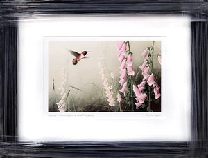 Hummingbird and Foxgloves by Don Li-Leger, Framed Art Postcard 12.75" x 10.75" - Picture 1 of 1