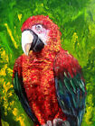Acryl auf Leinwand... handgemalt....Papagei ... 30 x 40 cm 