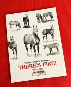 1969 QUARTER HORSE JOURNAL,  AQHA Book - SPANISH JOY - GREAT PRODUCER! STORY/PIX - Picture 1 of 14