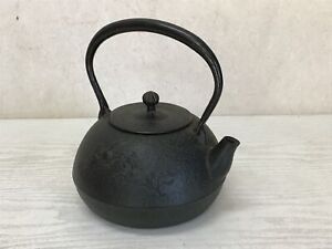 Y2253 TETSUBIN Nanbu Nambu horse Japanese Iron Tea Kettle Teapot antique