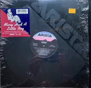 Snap! - Mary Had A Little Boy (12") (Very Good Plus (VG+)) - 3854220646 - Picture 1 of 3