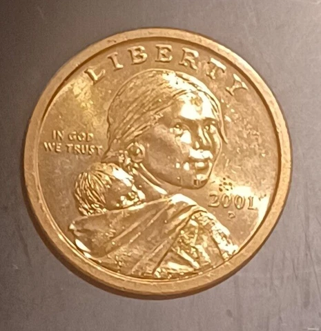 2001-P Sacagawea Native American Dollar Old Coin Collection Circulated Cover