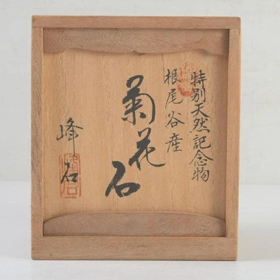 Piedra Crisantemo Japonesa SUISEKI 3,7 pulgadas de Alto Vista Natural Kikkaseki Foto 1 de 4