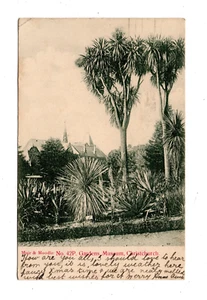 CHRISTCHURCH, SOUTH IS, NZ ~ MUSEUM GARDENS, Pub MUIR & MOODIE ~ used 1907 - Picture 1 of 2