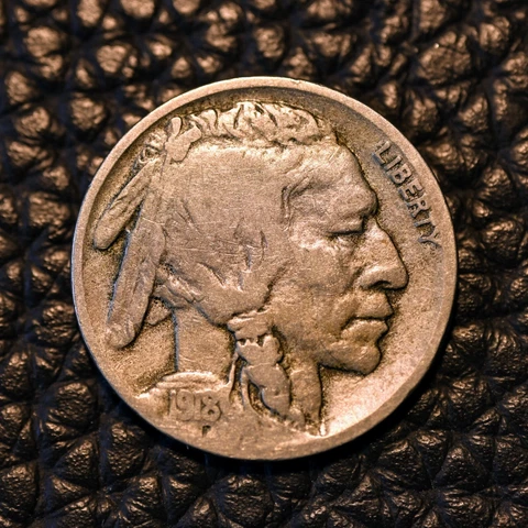 (ITM-4707) 1918-D Buffalo Nickel ~ FINE (F / FN) Cndtn ~ THIS COIN SHIPS FREE! Cover