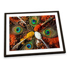 Peacock Feather Spoons Spices Kitchen FRAMED ART PRINT Picture Artwork