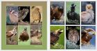 Gibraltar 2024 Bird Prey Eagle Vulture Scops Owl Black Kite Kestrel 6V And Ms6v Mnh