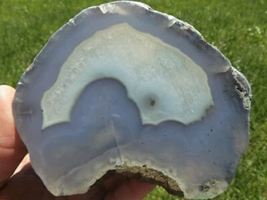 DIG-N-UTAH: POLISHED TOM MINER BASIN PETRIFIED WOOD DISPLAY RARE # L 400 - Picture 1 of 6