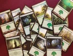 100 Forest - Green Mana - Magic the Gathering - MTG - Picture 1 of 1