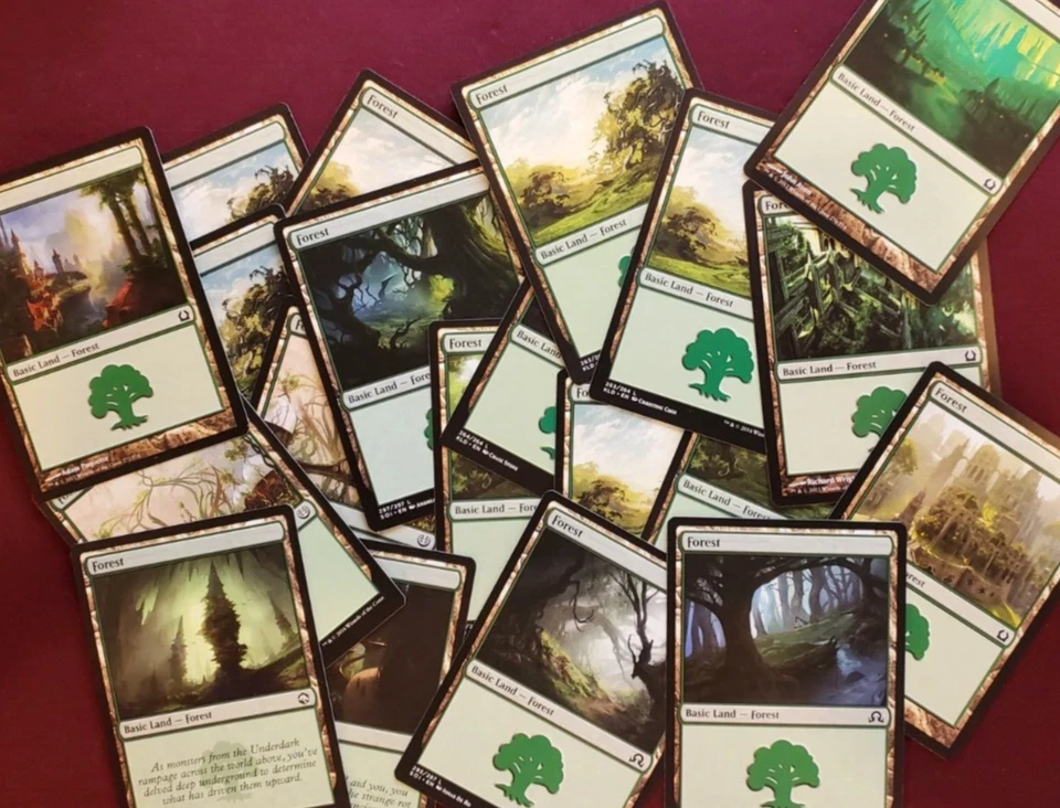 100 Forest - Green Mana - Magic the Gathering - MTG - Image 1 of 1
