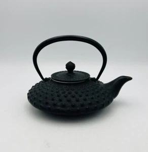 "Hermosa tetera Tetsubin japonesa de hierro fundido de colección hecha en Japón 7,5""" - Imagen 1 de 17