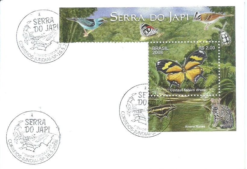 BRAZIL 2008 FAUNA; BIRDS; Insects; BUTTERFLY; Brazilian Jaguar on JE FDC - Image 1 of 1