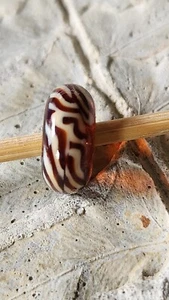 Trollbeads Rentner braun Fell Tier - Bild 1 von 2