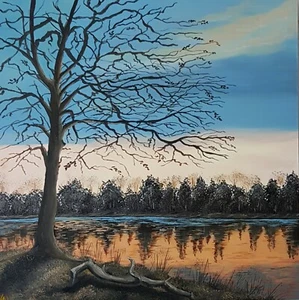 Ölbild Ölgemälde handgemalt  Sonnenuntergang Natur Ölgemälde mit Rahmen 30x30 - Bild 1 von 2