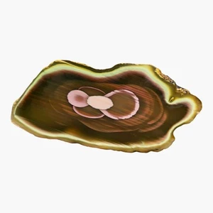 Royal Imperial Jasper Slab – Large Orbicular Patterns from Mexico for Lapidary - Picture 1 of 9