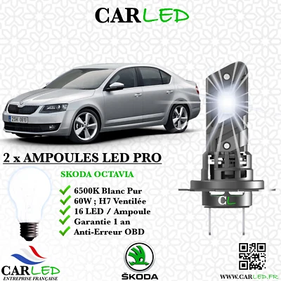 KIT AMPOULE LED SKODA OCTAVIA - Photo 1/2