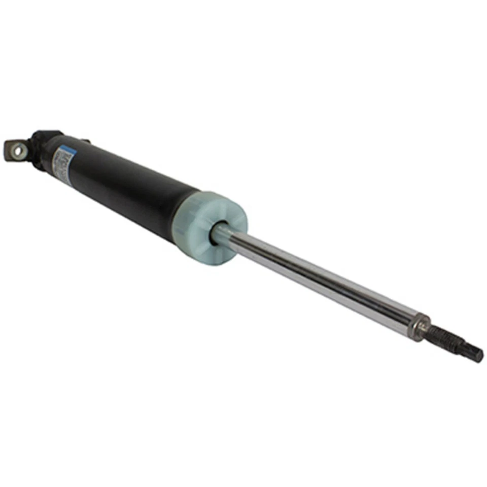 ASH24698 Motorcraft Shock Rear Driver or Passenger Side Right Left Left/Right Foto 1 de 1