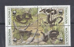 E1581 - Moldova 1993 - MNH - Reptielen/Reptiles - Slangen / Snakes  (WWF/WNF) - Imagen 1 de 1