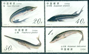 CHINA 1994 Stör, Kaluga, Schwertfisch, ausgestorben, Fisch, gefährdet, M.2521, postfrisch - Bild 1 von 1