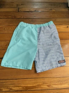  Vineyard Vines Blue and Aqua Striped Swim Trunks - Boys Large Built-in Briefs  - Picture 1 of 4
