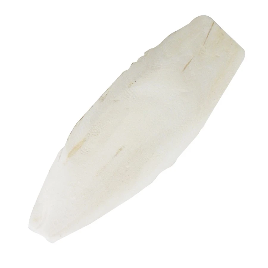 Lucky Reptile Sepia Bone - Bild 1 von 1