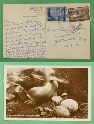 DR WHO 1960? ARGENTINA PAQUEBOT SHIP PENGUIN POSTCARD RPPC TO USA R18315 - image 1 of 3