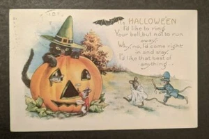1922 Halloween Pumpkin Black Cat Norwich Connecticut Illustrated Postcard Cover - Picture 1 of 2