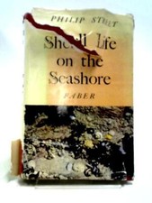 Shell Life On The Seashore (Philip Street - 1961) (ID:41954)