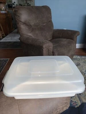 VTG Rubbermaid Vegetable & Dip Take Along 0833 Servin Saver Divided Tray & Lid  - Image 1 of 4