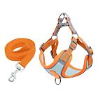 Puppy Harness, Dogs Harness Fit Puppy Durable Dog Reflective, Multifunction Cat