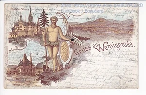 CIRCLE RESIN, LITHO GREETING FROM WERNIGERODE, 1902 - Picture 1 of 2