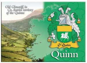Quinn Nombre Familiar Irlandés Recuerdo Imagen Metálica Nevera Imán Regalo Irlandés - Imagen 1 de 2