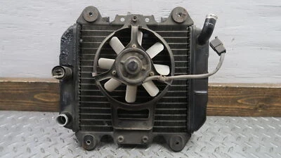 Radiador Kawasaki Ninja 250R 1988-2007 OEM con ventilador 39060-1087 Foto 1 de 4
