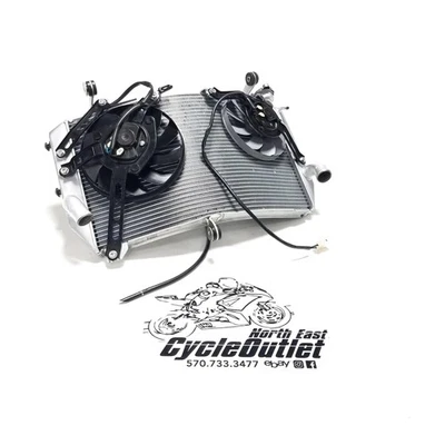 Yamaha YZF R1 YZFR1 2015 15 16 17 18 19 OEM motor radiador motor refrigeración Foto 1 de 4